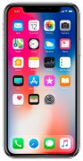 Apple iPhone X 256GB серый космос