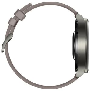 Huawei Watch GT2 Pro (туманно-серый)